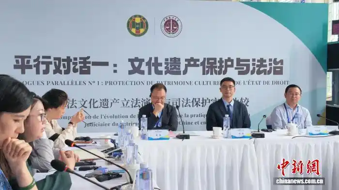 中法学者共话文化遗产司法保护 建言推进非法流失文物追索