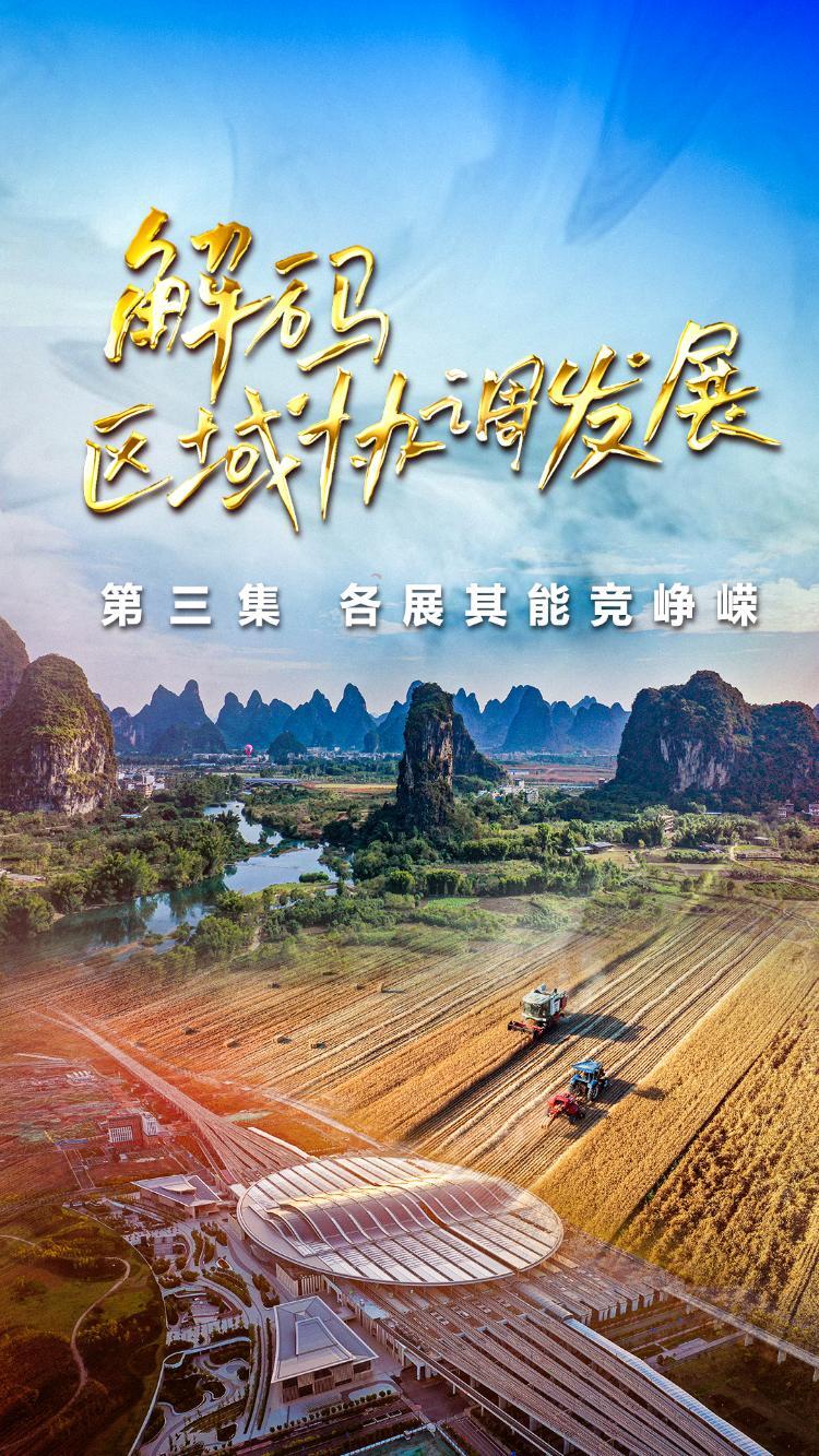 《解码区域协调发展》第三集《各展其能竞峥嵘》