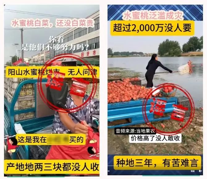造谣“阳山水蜜桃断崖式跌价大量滞销、烂大街”，嫌疑人被抓获！别让谣言毁了收成、伤了农民心