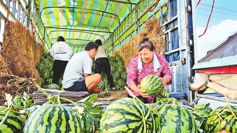 “几分钱”传言背后 河南西瓜价差真相是啥