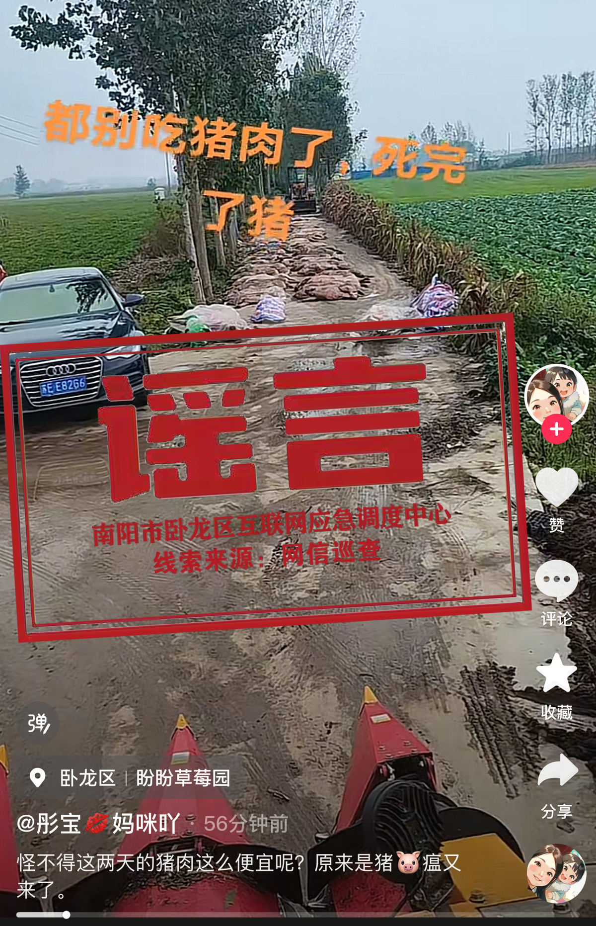 传播不实信息，卧龙区一网民被批评教育