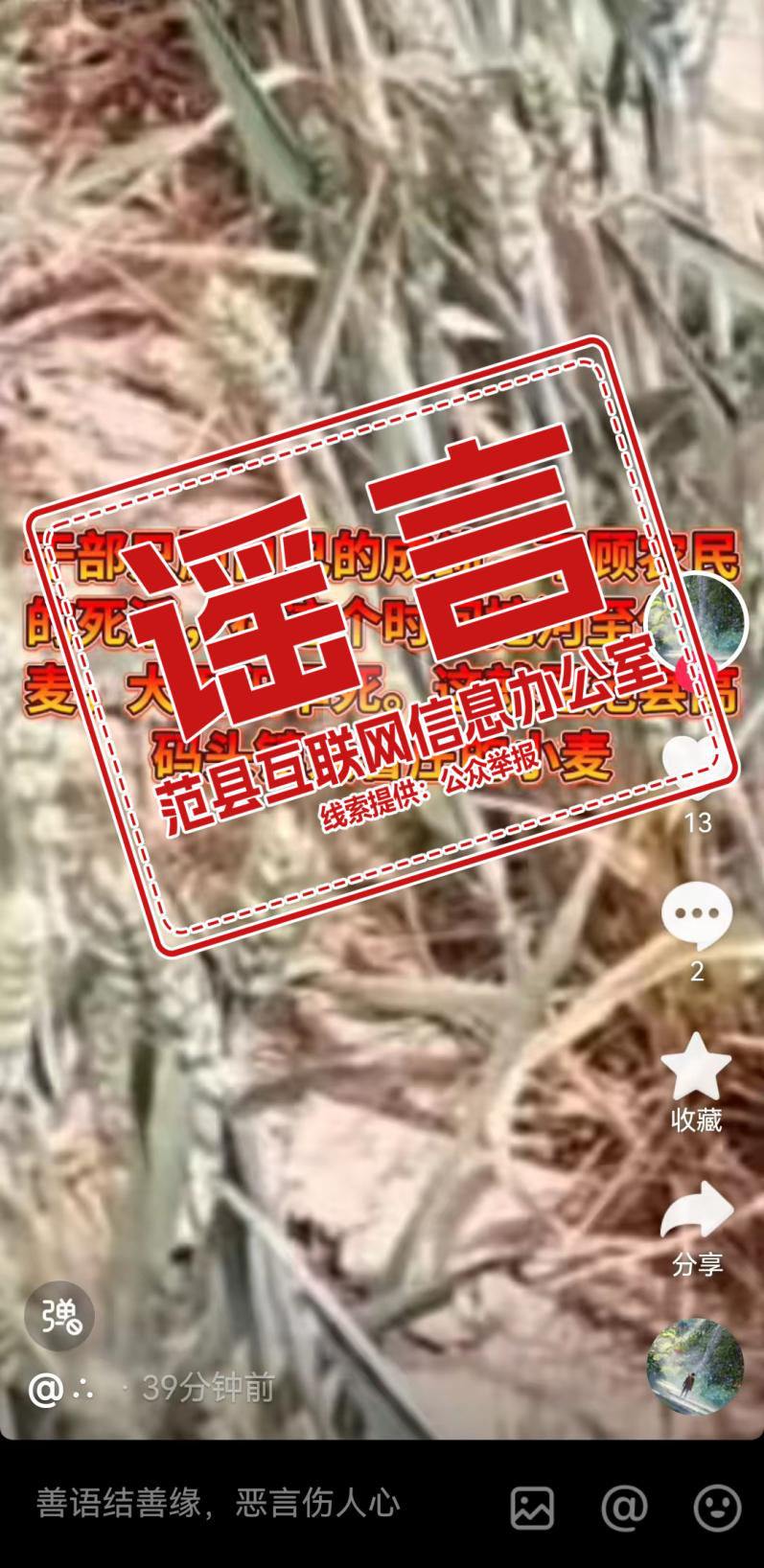 网传“范县高码头小麦大面积旱死”系谣言！