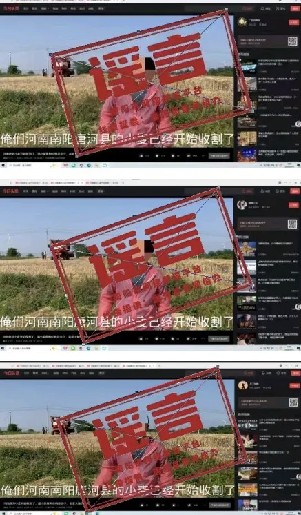 辟谣！“南阳唐河小麦开始收割了”系谣言！