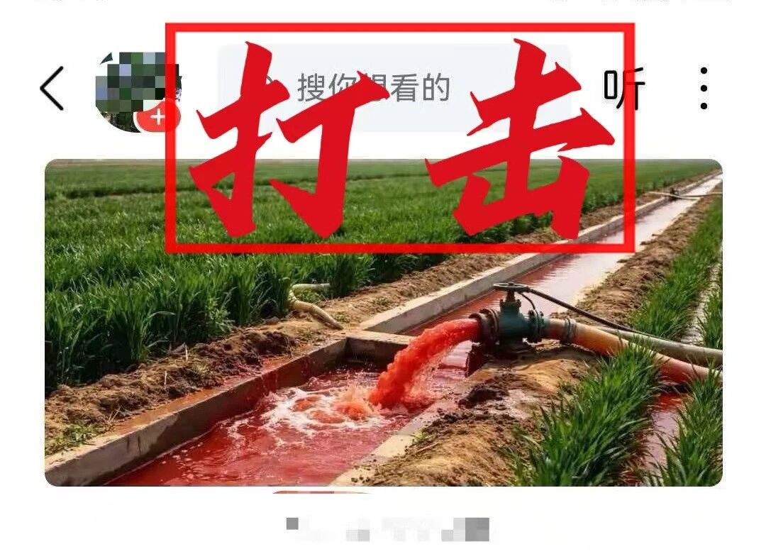 全力护航“三夏”生产——网警依法查处编造传播涉农网络谣言案