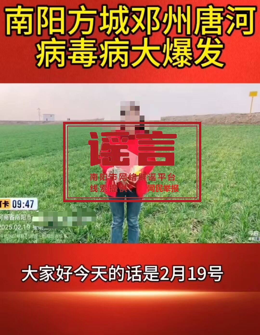 辟谣！网传“南阳部分县域小麦病毒大爆发”为谣言