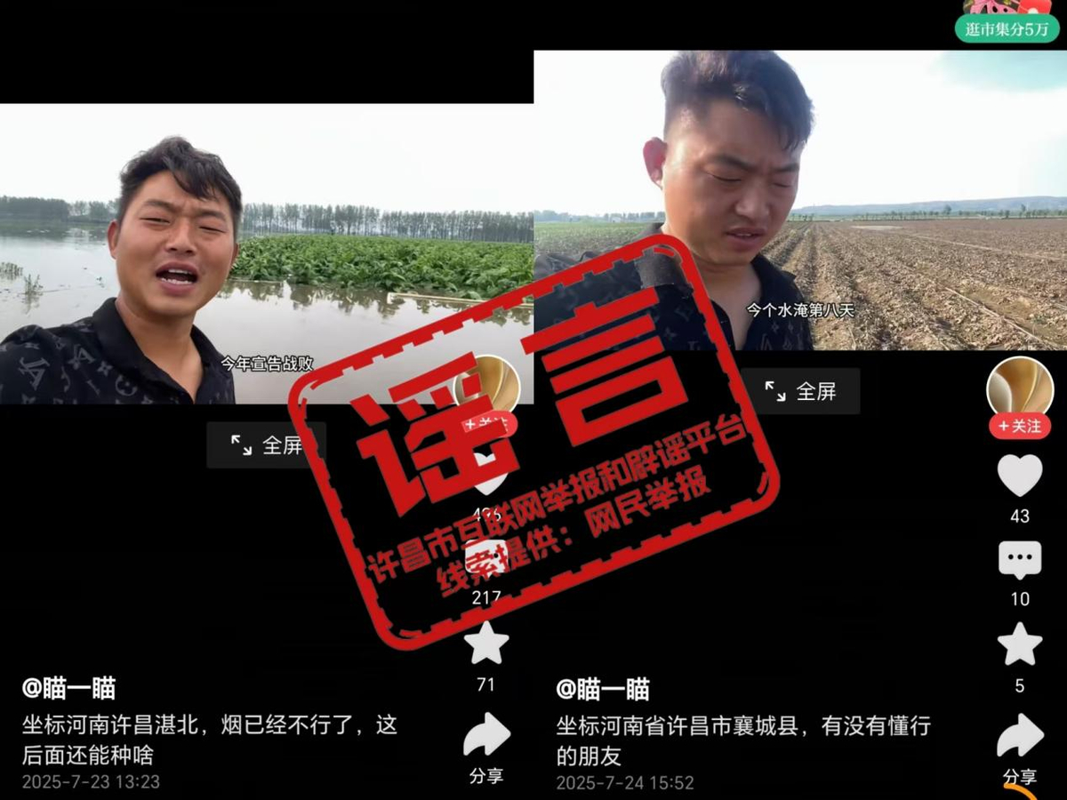 辟谣！网传“许昌湛北农田被淹”为旧闻翻炒