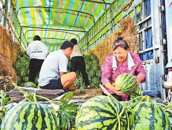 “几分钱”传言背后 河南西瓜价差真相是啥